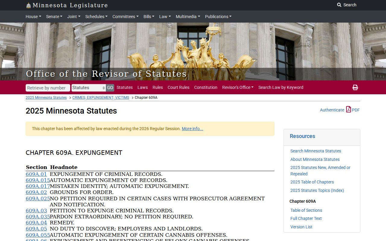 Mille Lacs County criminal docket expungement statute resource